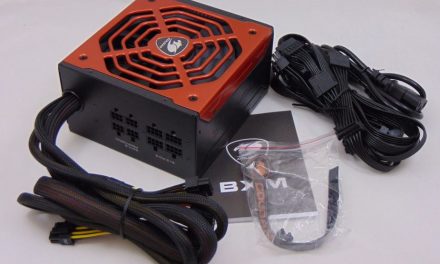 A Date With A Cougar BXM 700 PSU