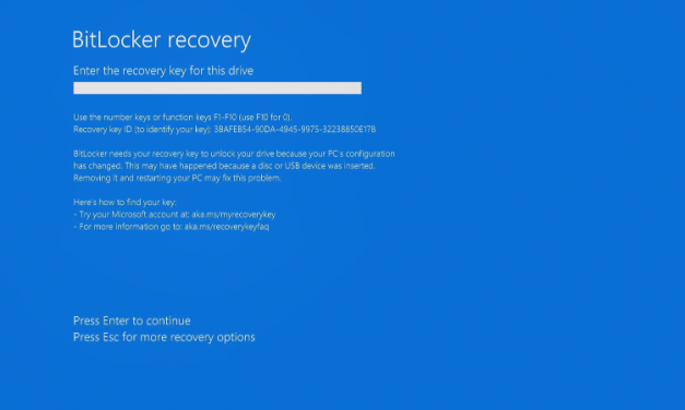 BitLocker Gets Pi All Over It’s Face As A Pico Cracks The Encryption Key